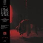 A TEAR IN THE FABRIC OF LIFE (LIMITED EDITION) (CLEAR/RED/BLACK VINYL)