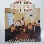TOO HOT TO SLEEP (USED VINYL)