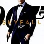 SKYFALL (USED DVD)