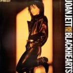 UP YOUR ALLEY (USED VINYL)