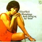 RAINDROPS KEEP FALLIN ON MY HEAD (USED VINYL) (CONDITION FAIR)