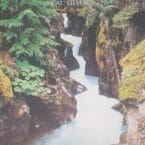 BACK TO EARTH (USED VINYL)