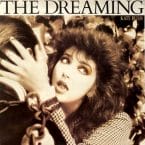 DREAMING (USED VINYL)