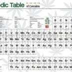 PERIODIC TABLE OF CANNABIS (POSTER)