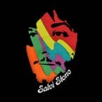 SALVI STONE (USED CD)