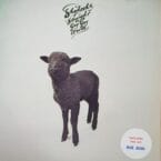 STRAIGHT IN A GAY GAY WORLD (USED VINYL)