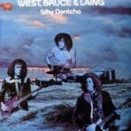 WHY DONTCHA (USED VINYL)