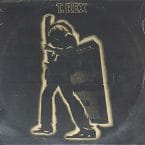 ELECTRIC WARRIOR (USED VINYL) (COVER CONDITION FAIR)