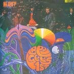 BEE GEES 1ST (USED VINYL)