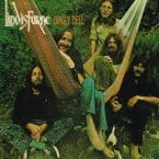 DINGLY DELL (USED VINYL)