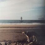 DOUBLE DENIM (VINYL)