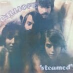 STEAMED (USED VINYL)