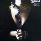 SLIDE IT IN (USED VINYL)