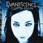 FALLEN (VINYL)