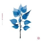 GET SUNK (LIMITED EDITION) (TRANSLUCENT COBALT VINYL)
