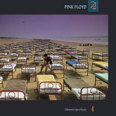 MOMENTARY LAPSE OF REASON (VINYL)