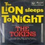 LION SLEEPS TONIGHT (USED VINYL)