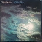 IN THE SKIES (USED VINYL)