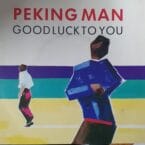 GOOD LUCK TO YOU (USED VINYL)