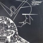 DINOSAUR DISCS (USED VINYL)