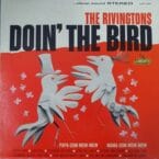DOIN' THE BIRD (USED VINYL)