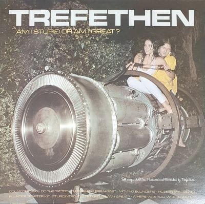 AM I STUPID OR AM I GREAT (USED VINYL)