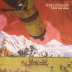 FOOL THE WISE (USED GREEN/BLACK MARBLED VINYL)