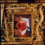 LIKE NOW (USED VINYL)