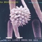 TOMORROW NEVER KNOWS (USED CD SINGLE)