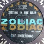 SITTING IN THE RAIN (USED VINYL) (CONDITION FAIR)