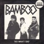 DO WHAT I DID (USED VINYL)