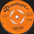 WILD ONE (USED VINYL)