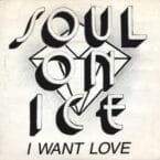 I WANT LOVE (USED VINYL)