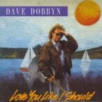 LOVE YOU LIKE I SHOULD (USED VINYL)
