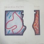 TRUE (USED VINYL) (COVER CONDITION FAIR)