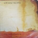 IF THIS IS PARADISE I'LL TAKE THE BAG (USED VINYL) (CONDITION FAIR)