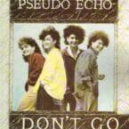 DON'T GO (USED VINYL)