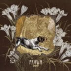 RUN (USED COLOURED VINYL)