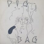 PIGBAG (USED VINYL) (COVER CONDITION FAIR)