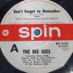 DON'T FORGET TO REMEMBER (USED VINYL)