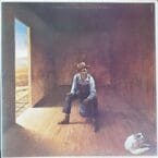 HOMELESS BROTHER (USED VINYL)