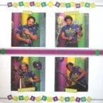 NEVILLE-IZATION - LIVE AT TIPITINA'S NEW ORLEANS LOUISIANA (USED VINYL)