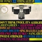 FUNKY 12 STRING GUITAR (USED VINYL)