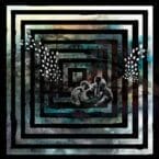 COUNTING SPINS (USED CD)