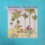 REBIRTH (USED VINYL) (CONDITION FAIR)