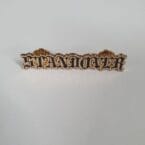 LOGO PIN (GOLD)