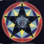 PANDEMONIUM (USED CD SINGLE)