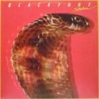 STRIKES (USED VINYL)
