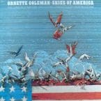 SKIES OF AMERICA (USED VINYL)