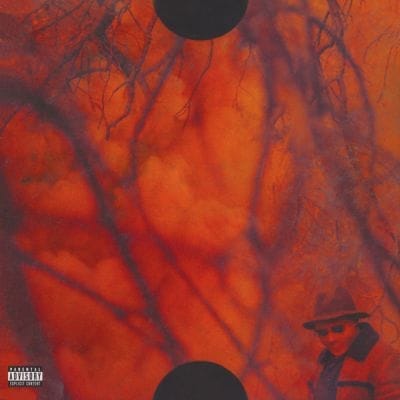 BLANK FACE (2LP) (USED ORANGE VINYL)